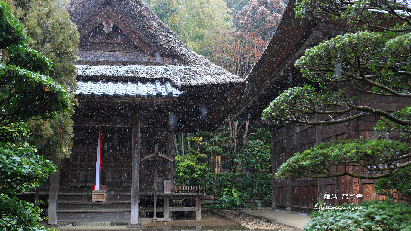 常楽寺 雪の文殊堂 壁紙