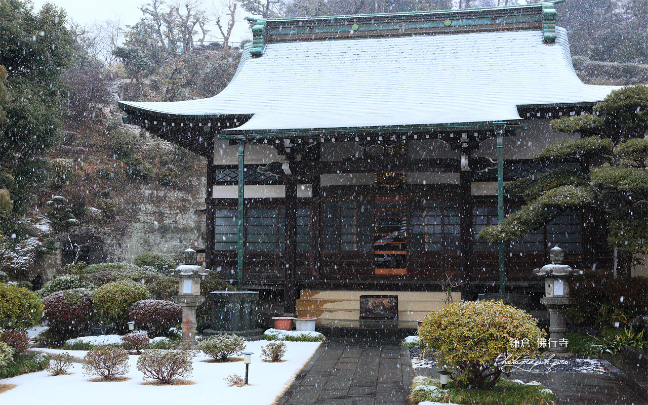 佛行寺 雪降る本堂 壁紙