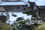 佛行寺 椿と雪化粧の庭園