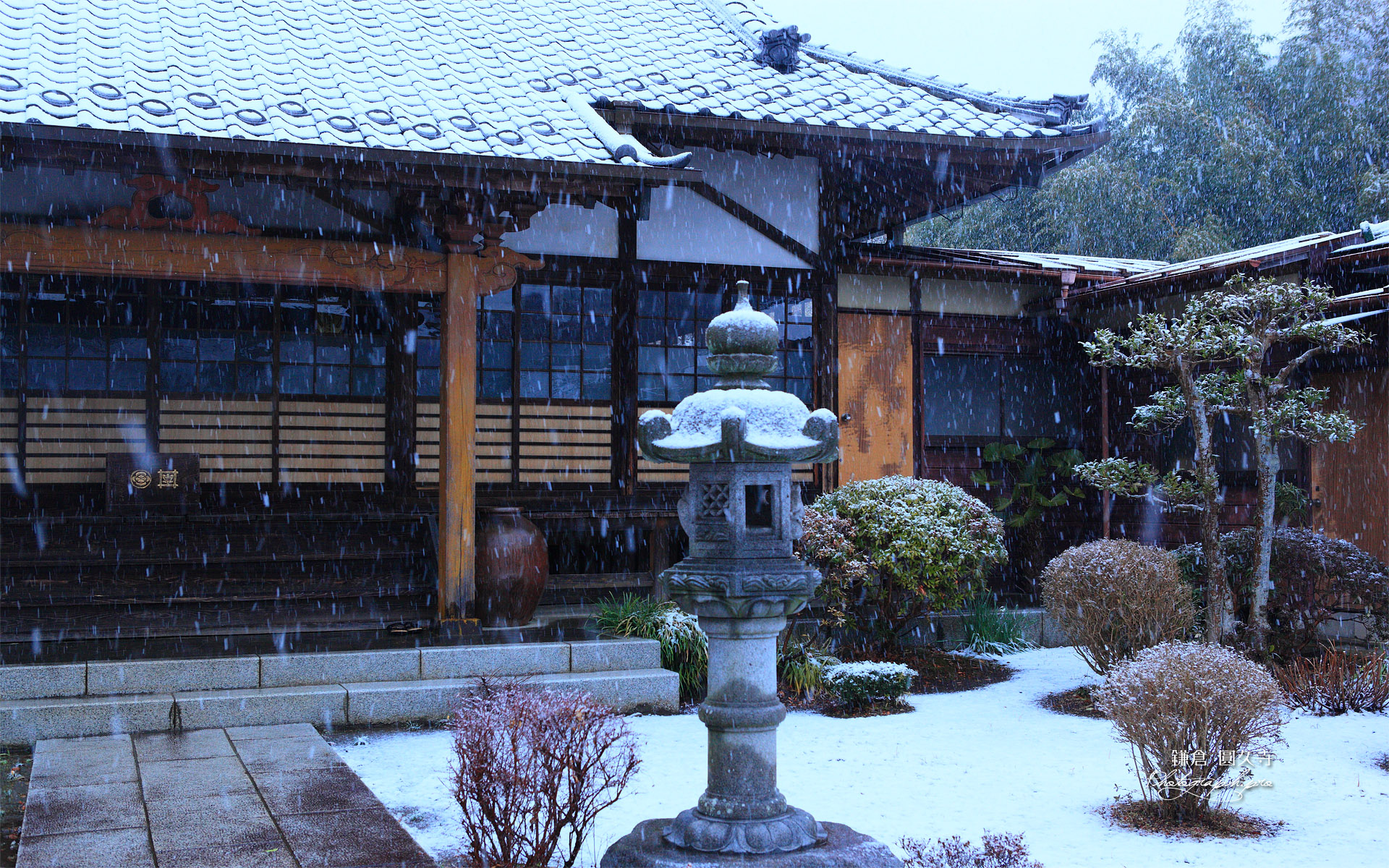 鎌倉圓久寺 雪降る本堂