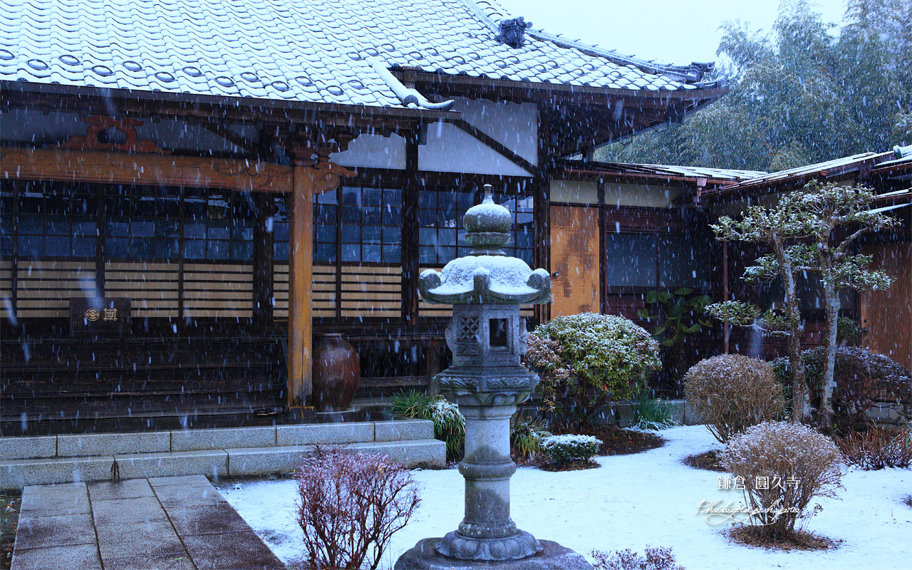 鎌倉圓久寺 雪降る本堂 壁紙