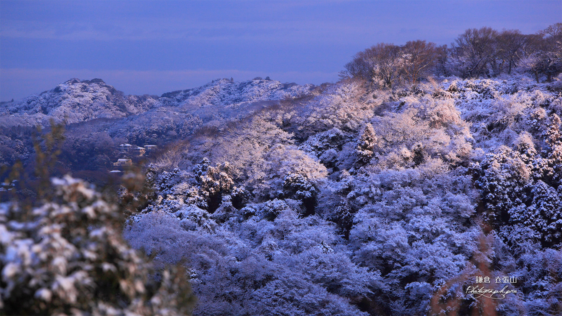 雪化粧した鎌倉アルプス