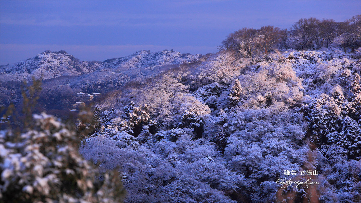 雪化粧した鎌倉アルプス 壁紙