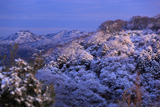 雪化粧した鎌倉アルプス
