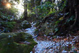 名越切通し 雪の鎌倉古道