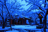 鞍馬寺 雪の華越しの金堂