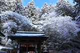 由岐神社 雪景色の本殿