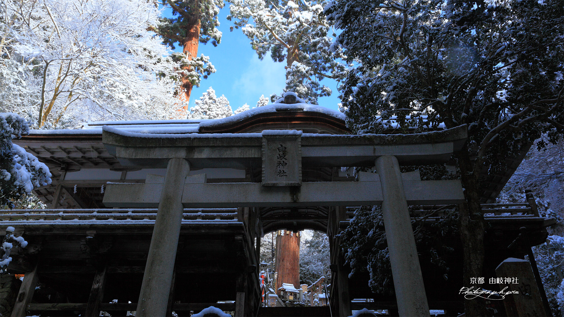 由岐神社 雪景色の鳥居と拝殿
