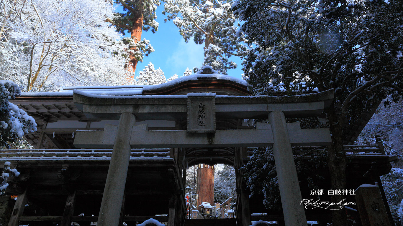 由岐神社 雪景色の鳥居と拝殿 壁紙
