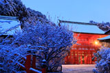 下鴨神社 雪化粧の楼門