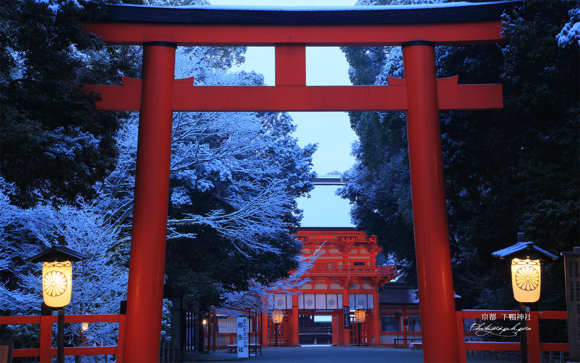 下鴨神社 大鳥居と雪化粧