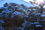 京都常林寺 雪の本堂