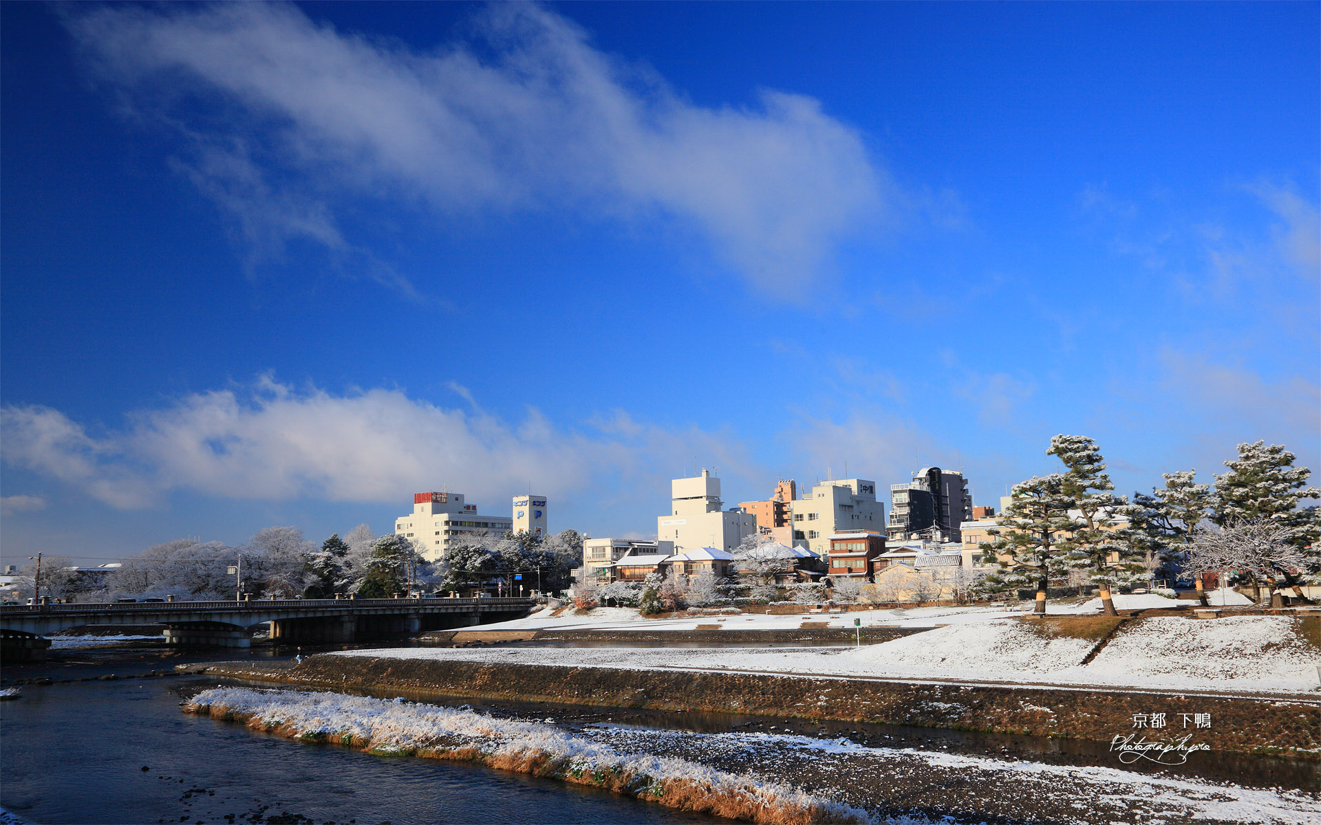 雪化粧の鴨川デルタ