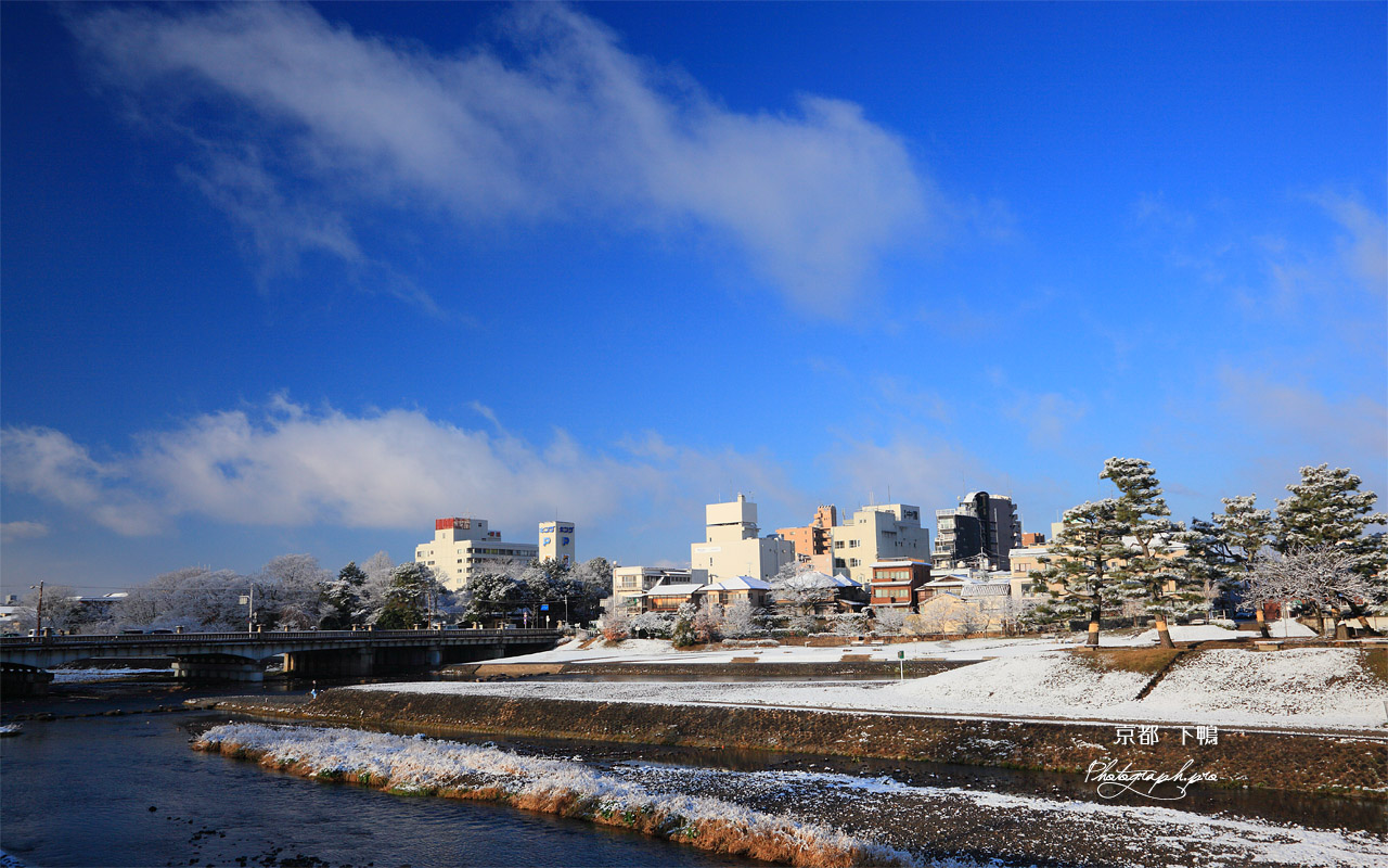 雪化粧の鴨川デルタ 壁紙