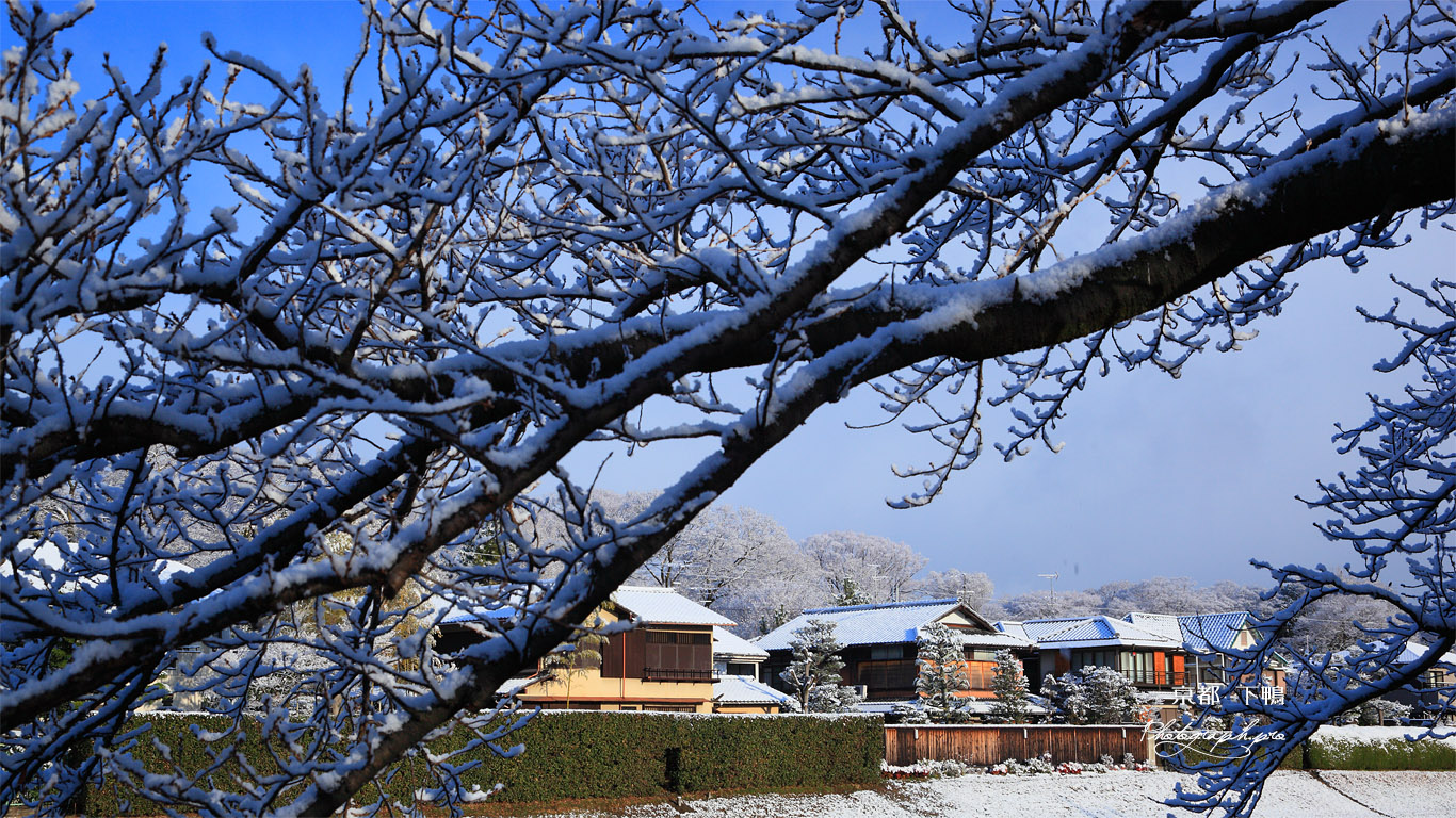 下鴨 雪枝越しの宮河町 壁紙