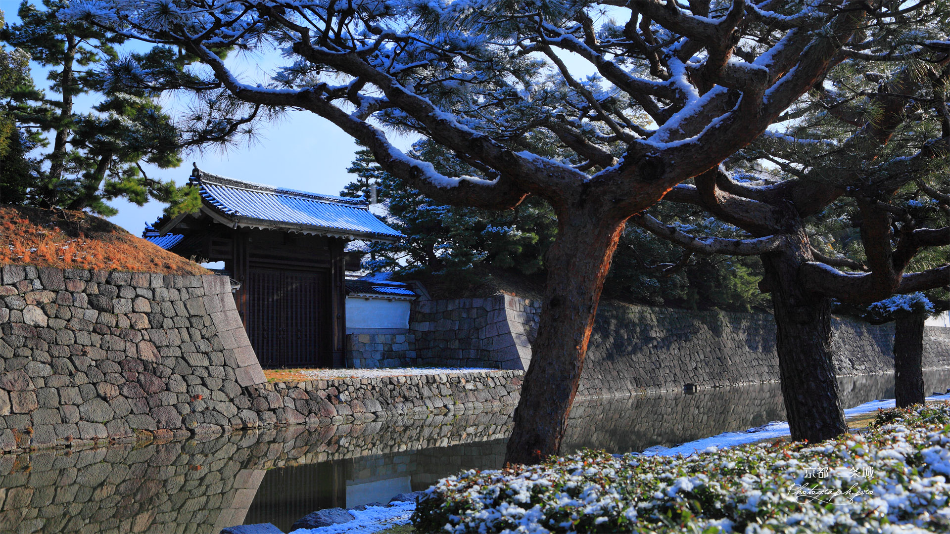 二条城 雪化粧の南門