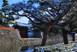 二条城 雪化粧の南門