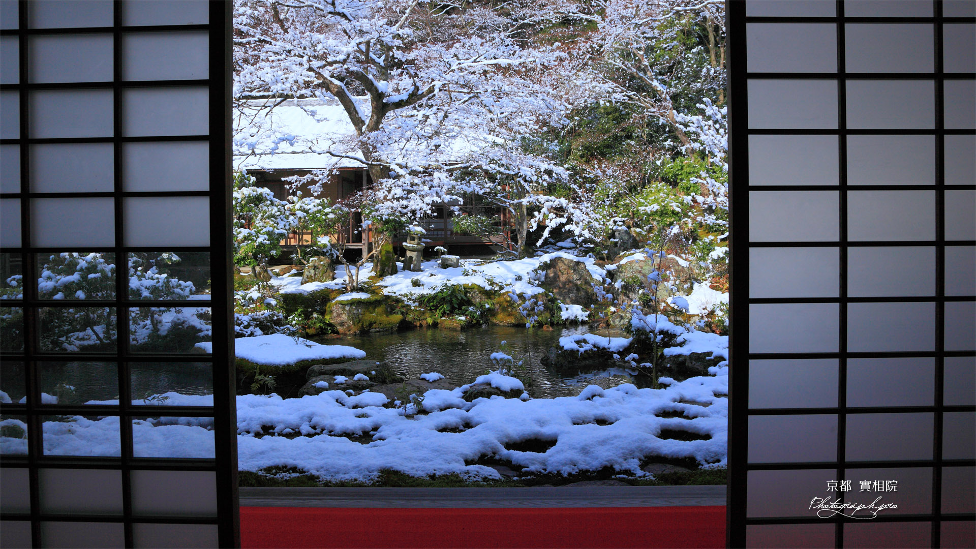実相院 客殿から雪化粧の中庭