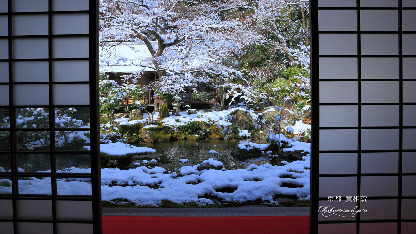 実相院 客殿から雪化粧の中庭 壁紙
