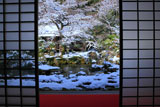 実相院 客殿から雪化粧の中庭