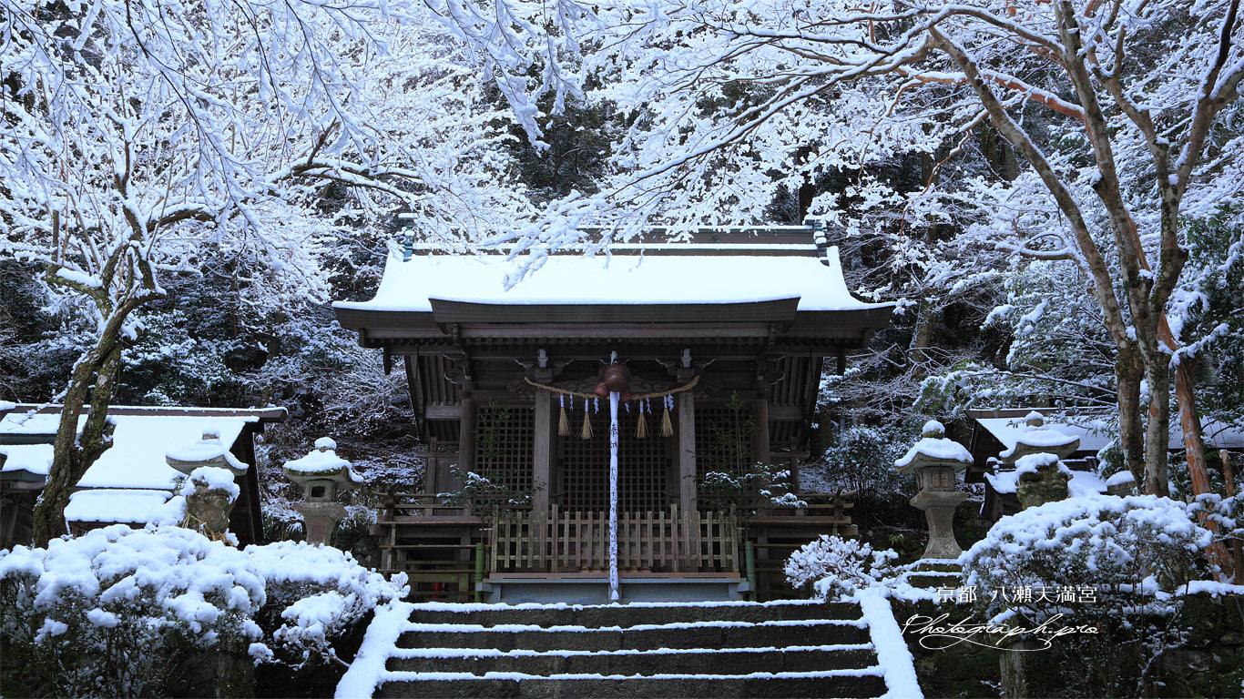 八瀬天満宮社 雪化粧の本堂 壁紙