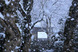 寂光院 参道の垂雪