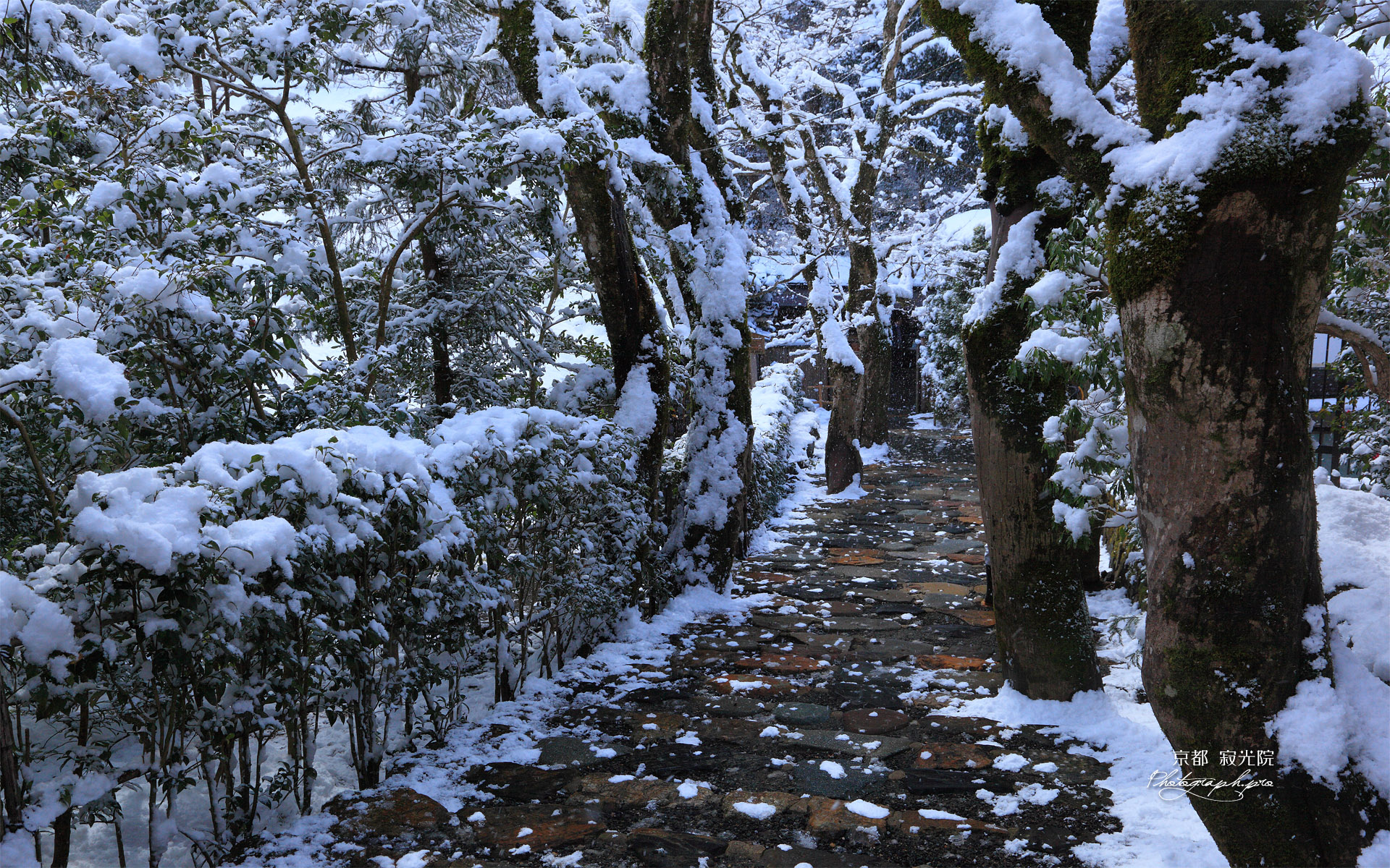 寂光院 斑雪の参道