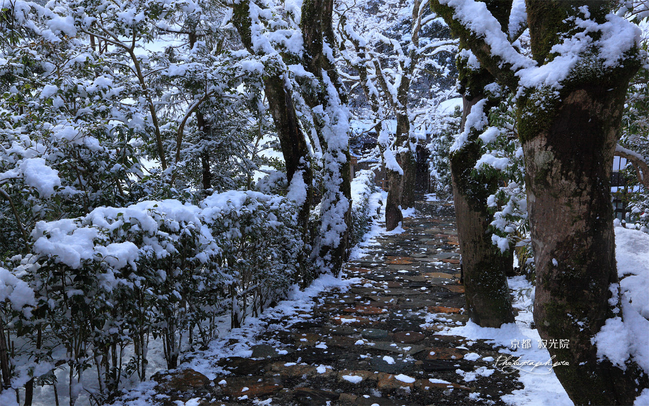 寂光院 斑雪の参道 壁紙