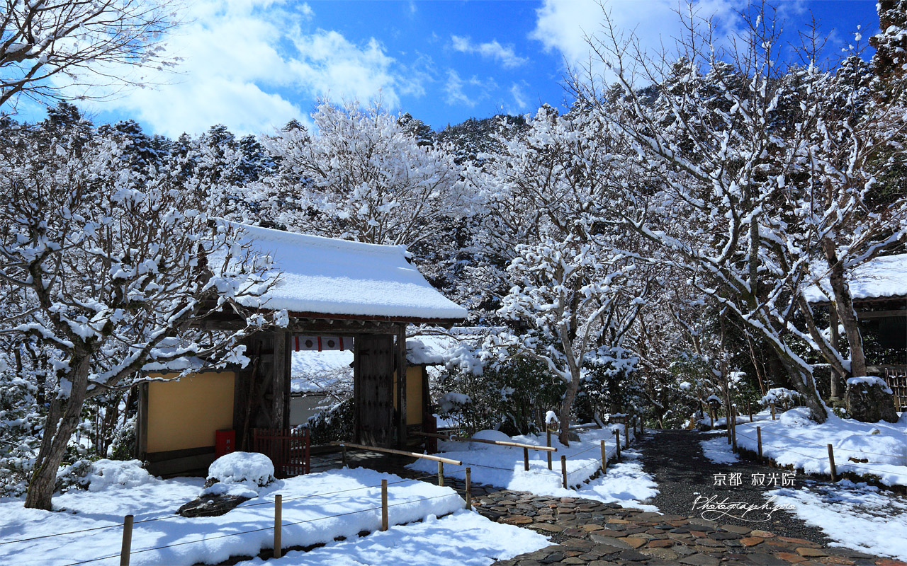 寂光院 雪の華と山門 壁紙