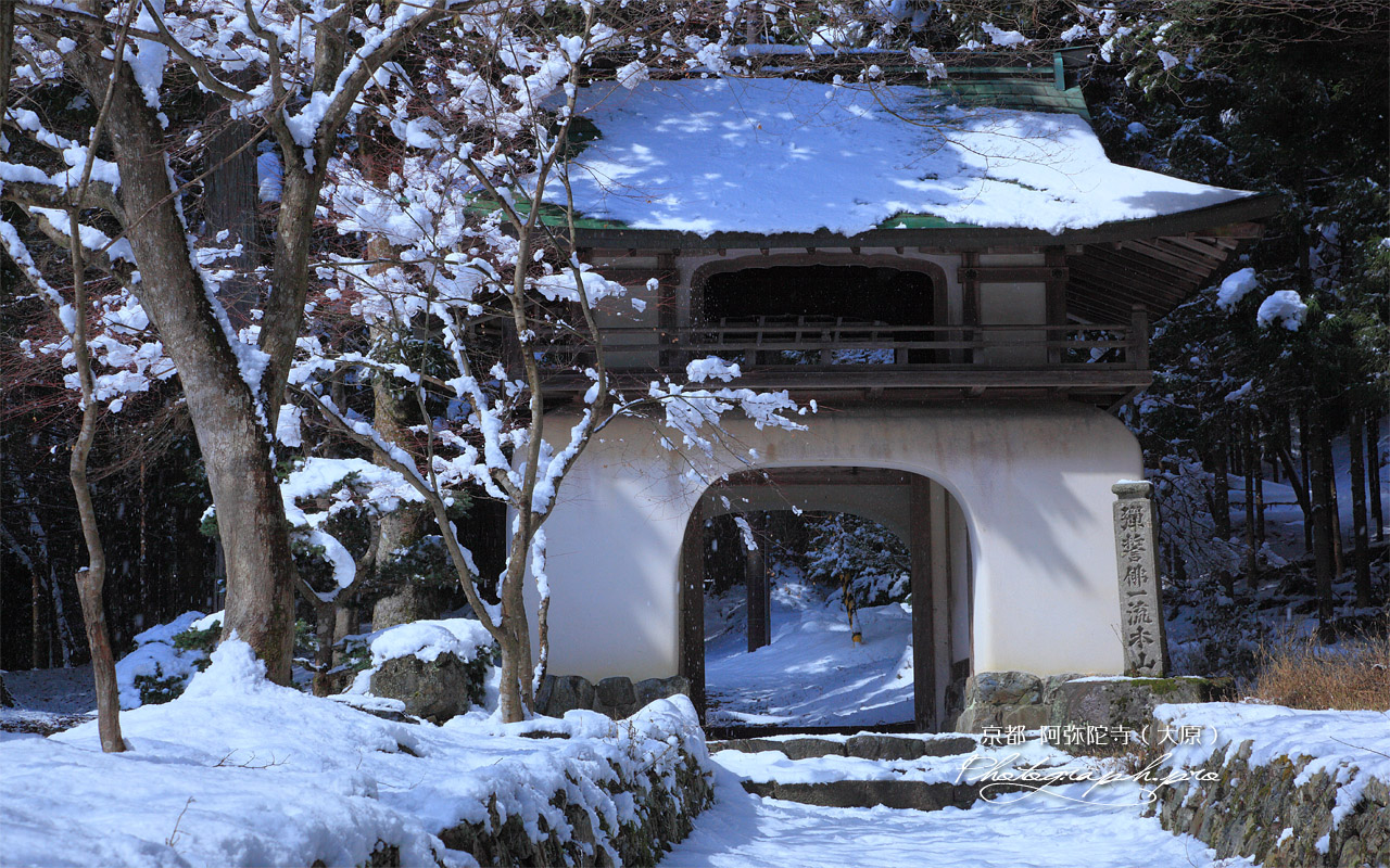 古知谷阿弥陀寺 雪化粧の山門 壁紙