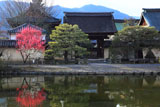 梅宮大社 紅梅映る咲耶池