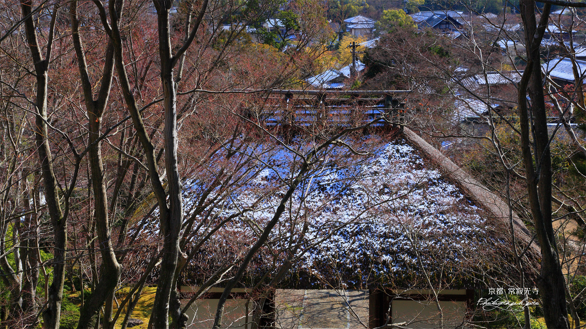 常寂光寺 淡雪の仁王門