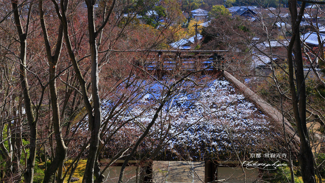 常寂光寺 淡雪の仁王門 壁紙