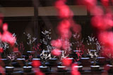 常寂光寺 紅梅越しの盆梅