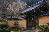 浄瑠璃寺