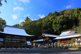 松尾大社 雪化粧の社殿