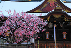 西陣・室町