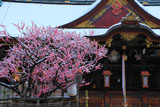 西陣・室町・寺之内