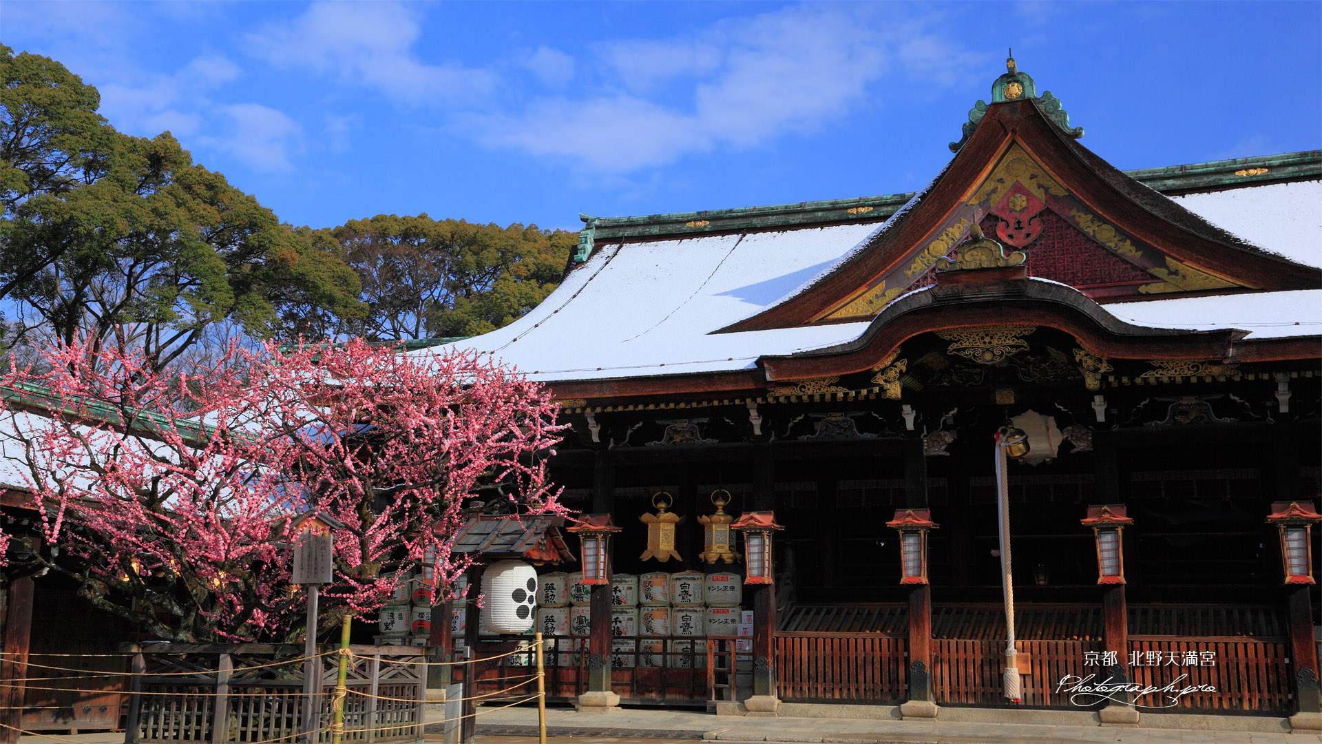 北野天満宮 右近の梅と拝殿