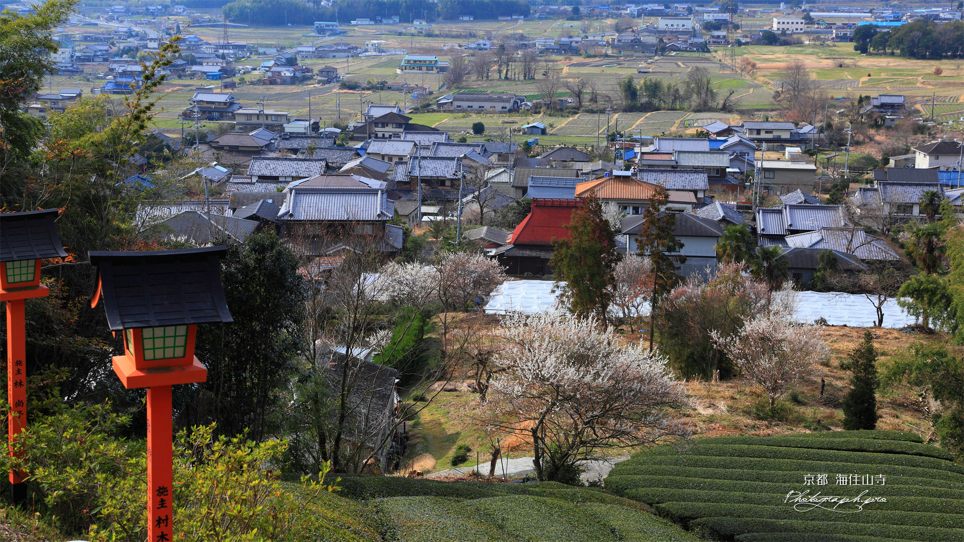 梅咲く瓶原