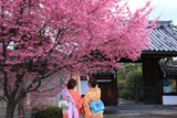 長徳寺