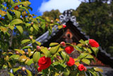 平岡八幡宮