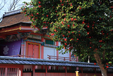 雙栗神社