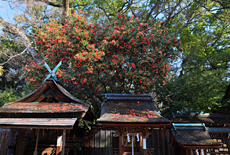 宗像神社
