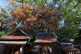 宗像神社
