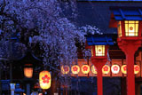 平野神社 宵の魁桜