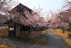 渉成園