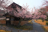 東本願寺 渉成園