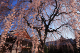 本満寺