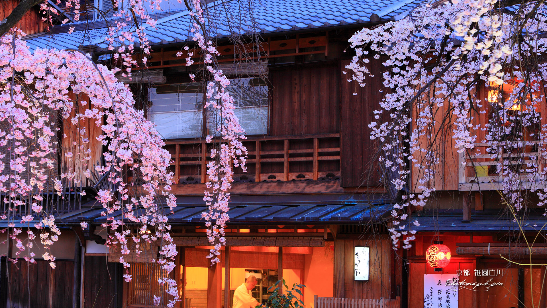 祇園白川 かにかくに